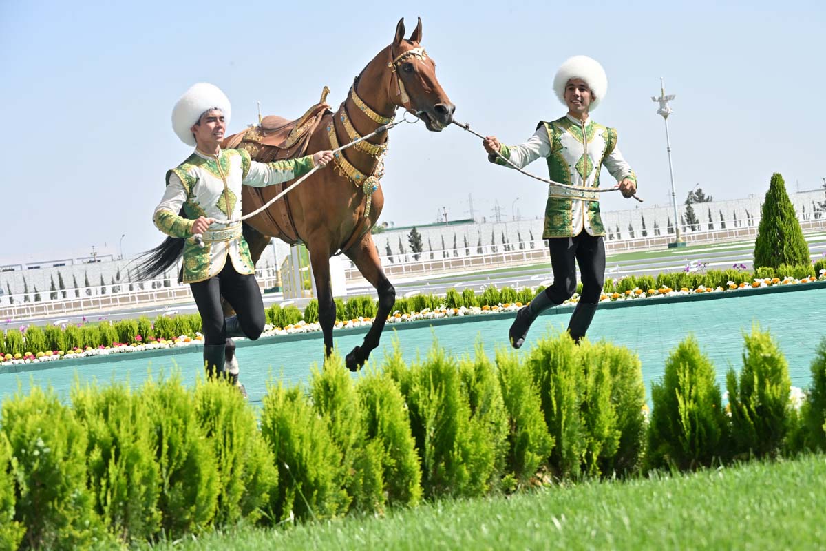 President of Turkmenistan took part in festivities on the occasion of the national holiday of the Turkmen horse